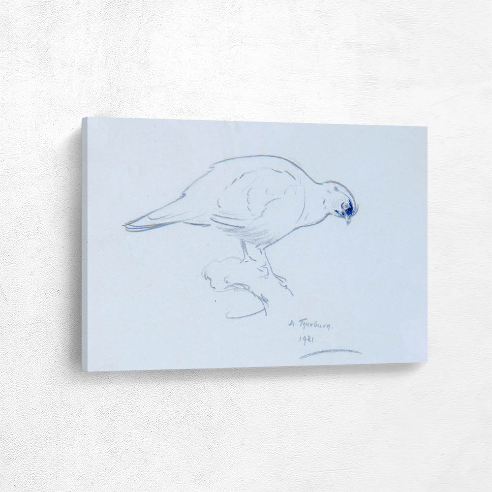 Sketch of a Grouse