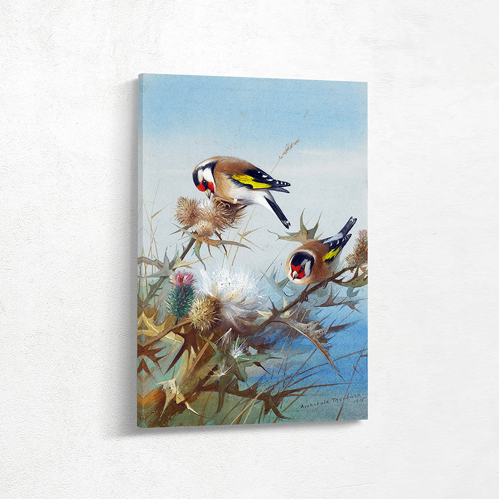 Goldfinches