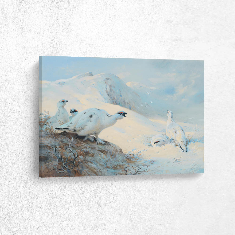 Ptarmigan in Winter