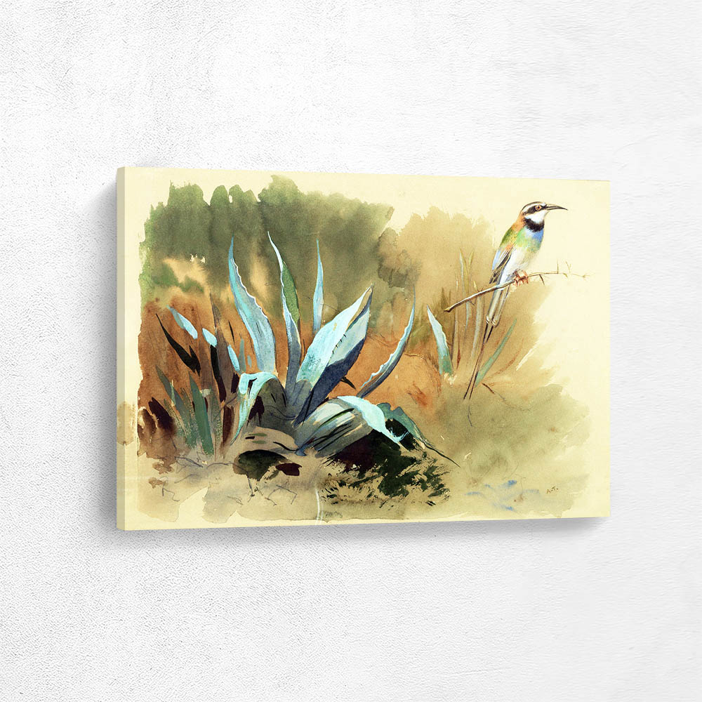 A White Throated Bee Eater