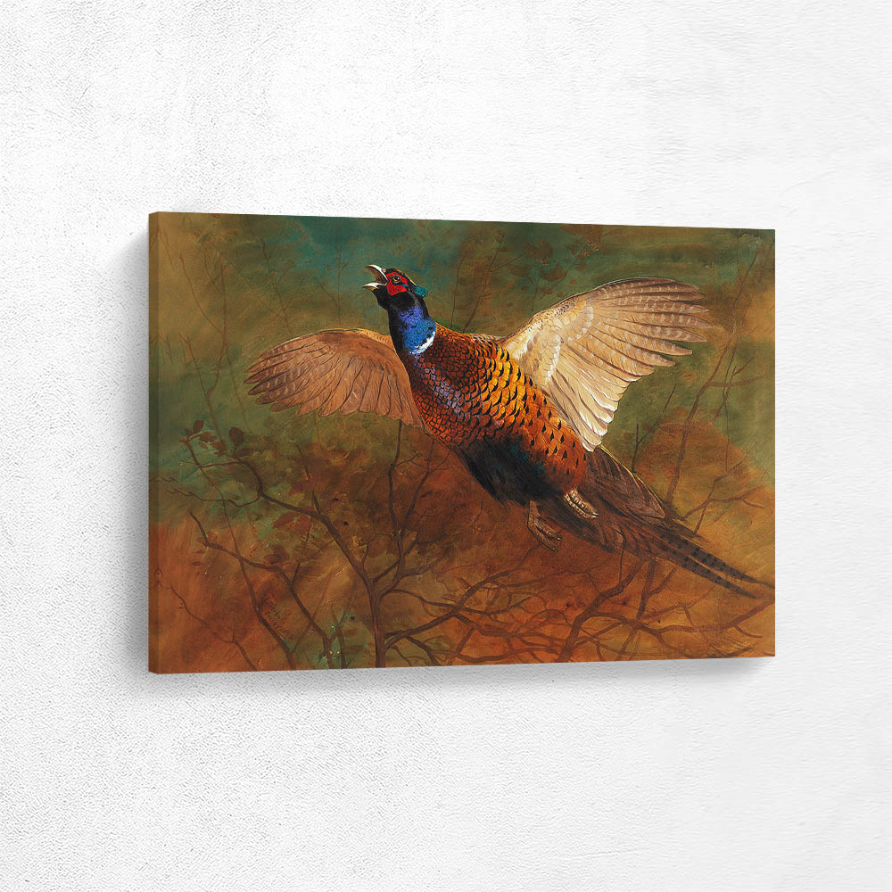 Pheasant in Flight