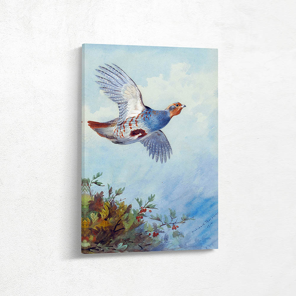 Partridge in Flight
