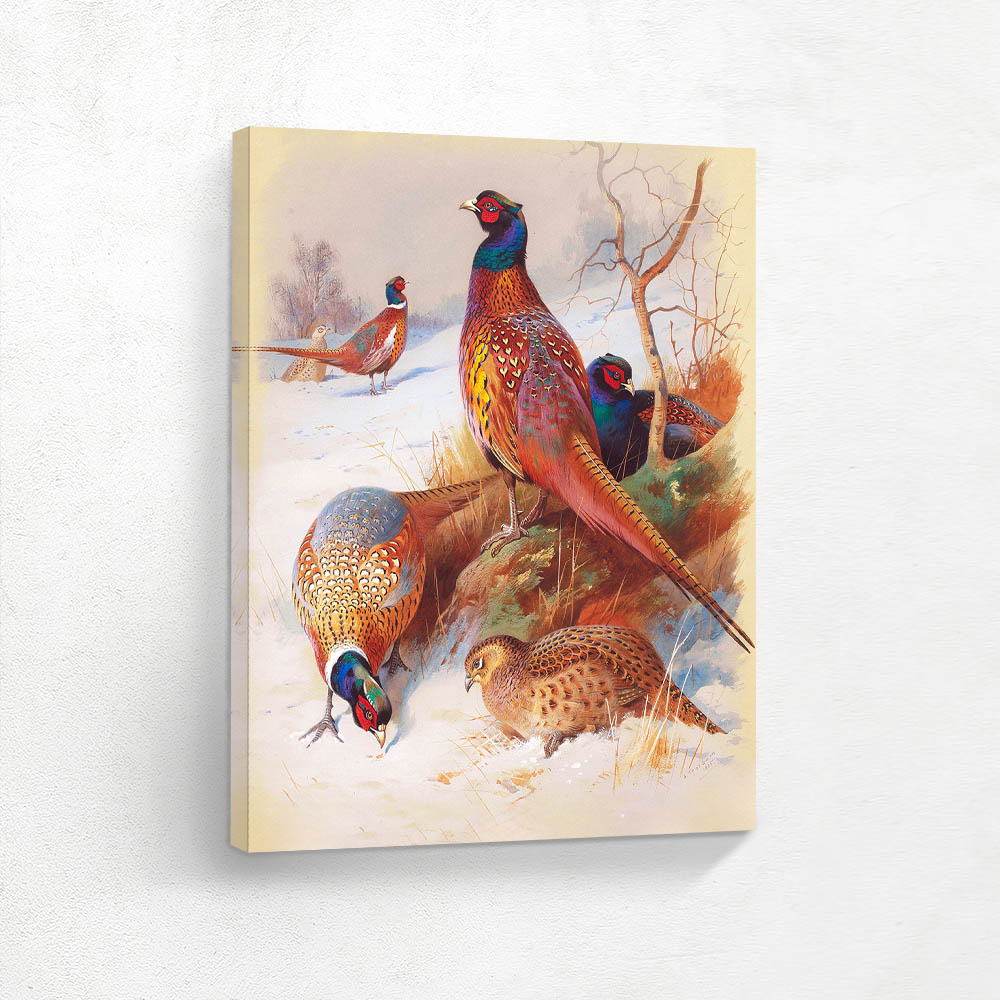 Pheasants in the Snow