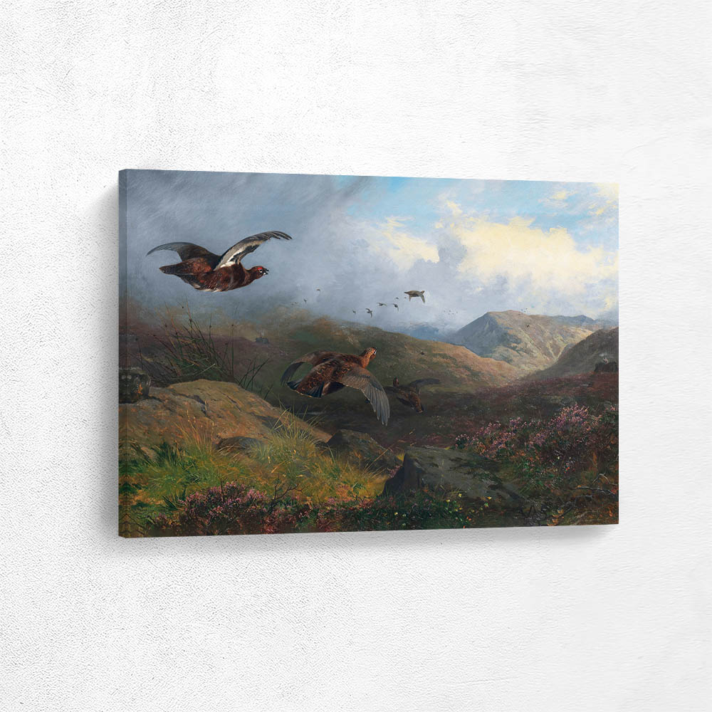 Grouse in Flight over Butts