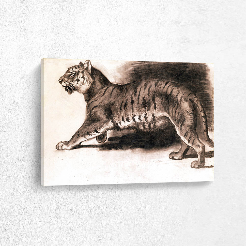 Study of a Tiger