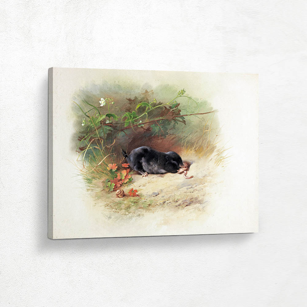 Mole with a Worm