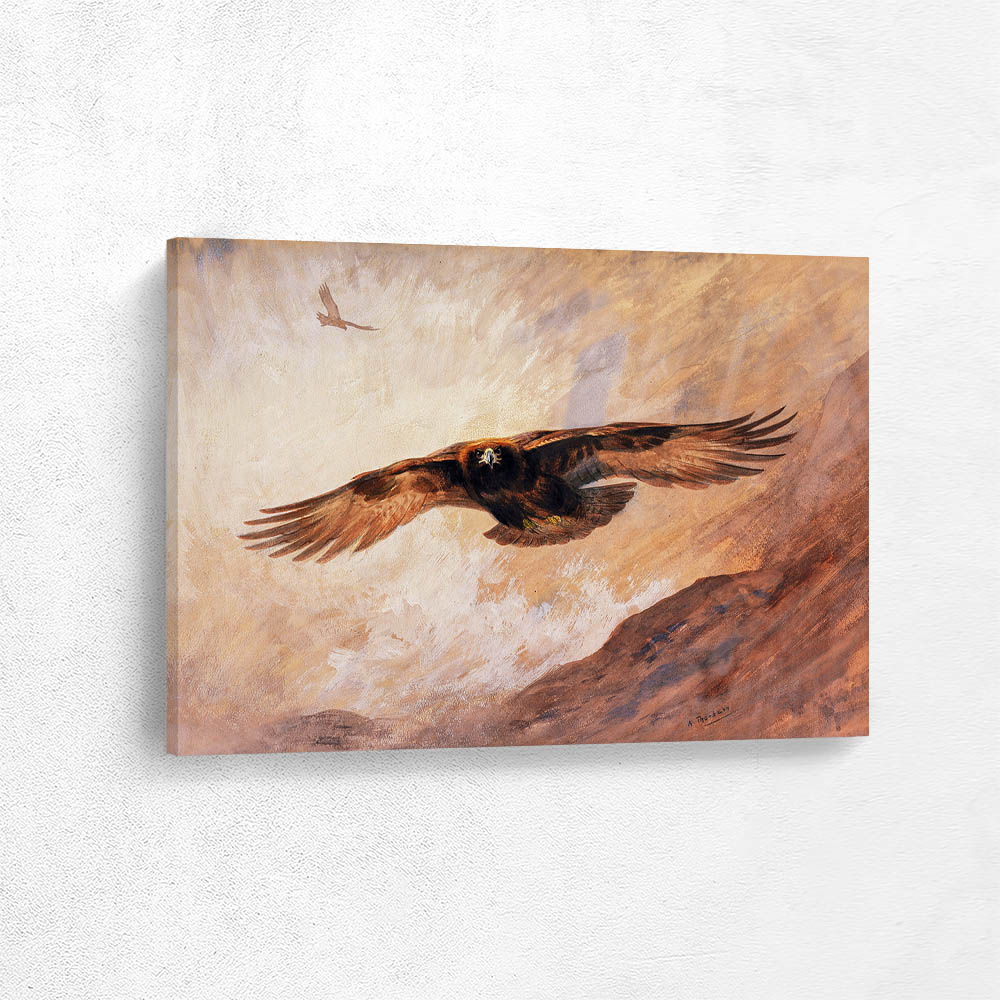 Golden Eagle in Flight