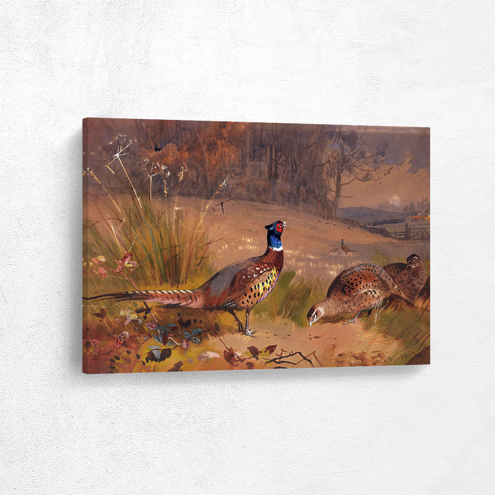 Cock and Hen Pheasants