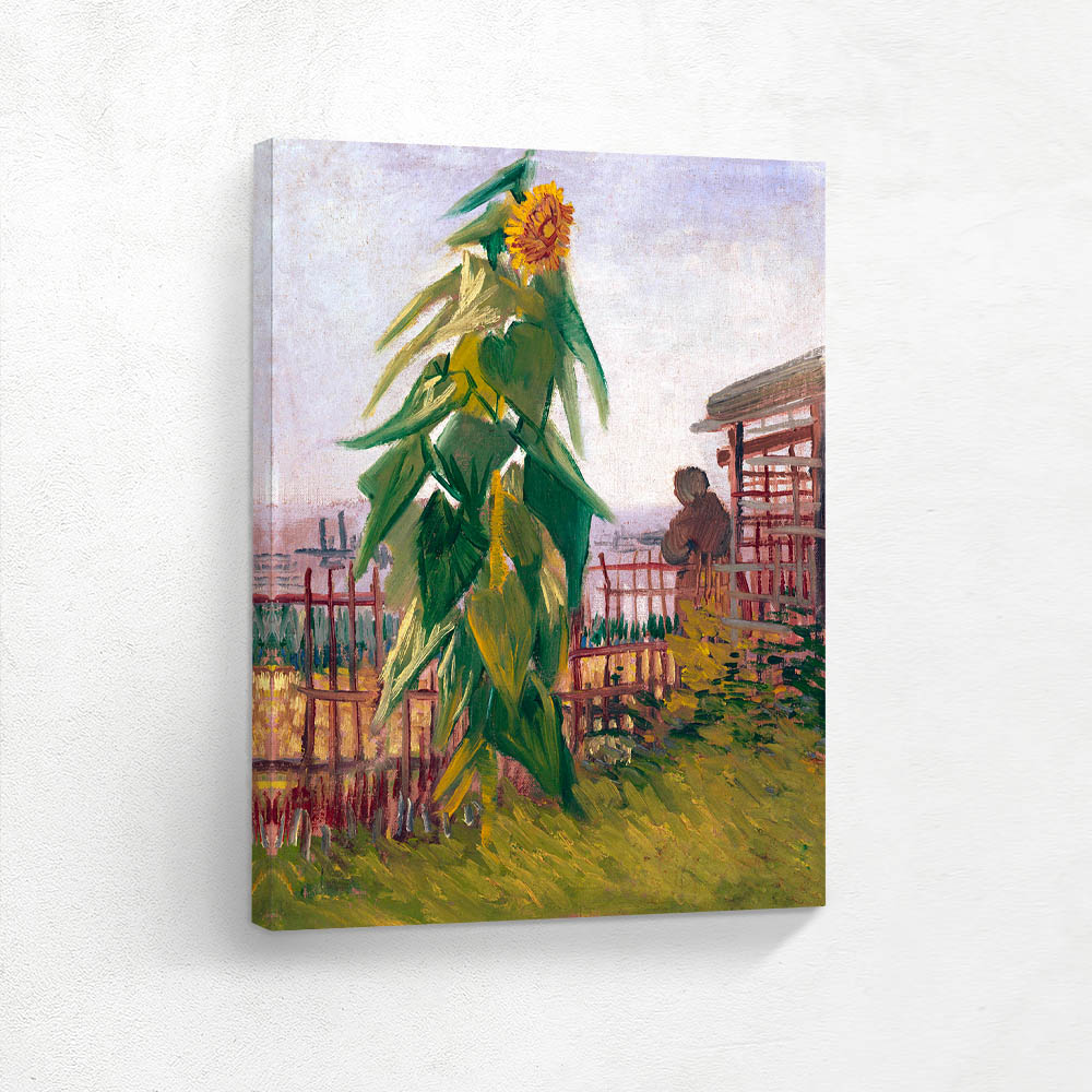 Garden With Sunflower