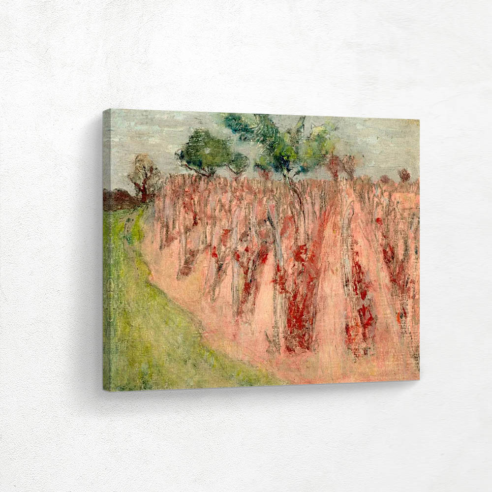 A vineyard in Villeneuve-sur-Yonne