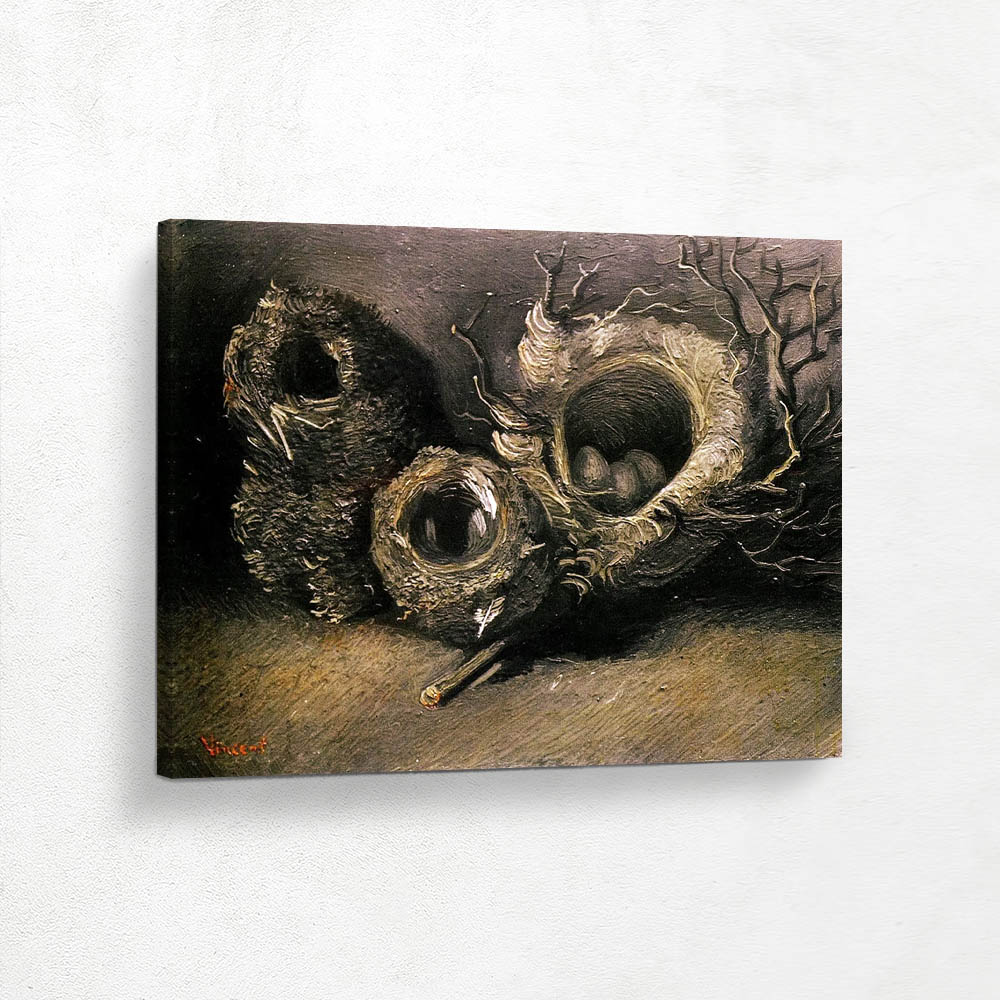 Still Life with Three Birds Nest