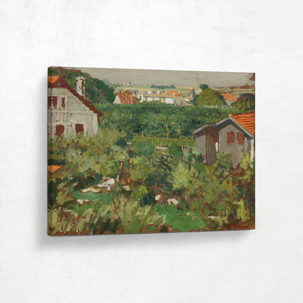 Houses in a paddock