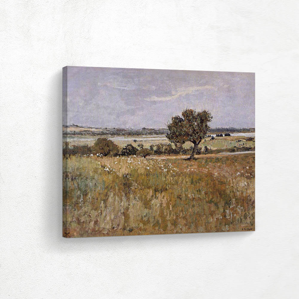 Landscape under an Overcast Sky