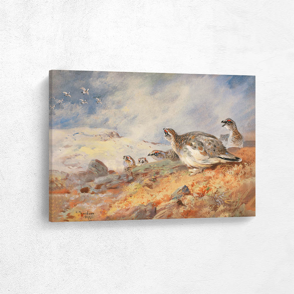 Ptarmigan in a Highland Landscape
