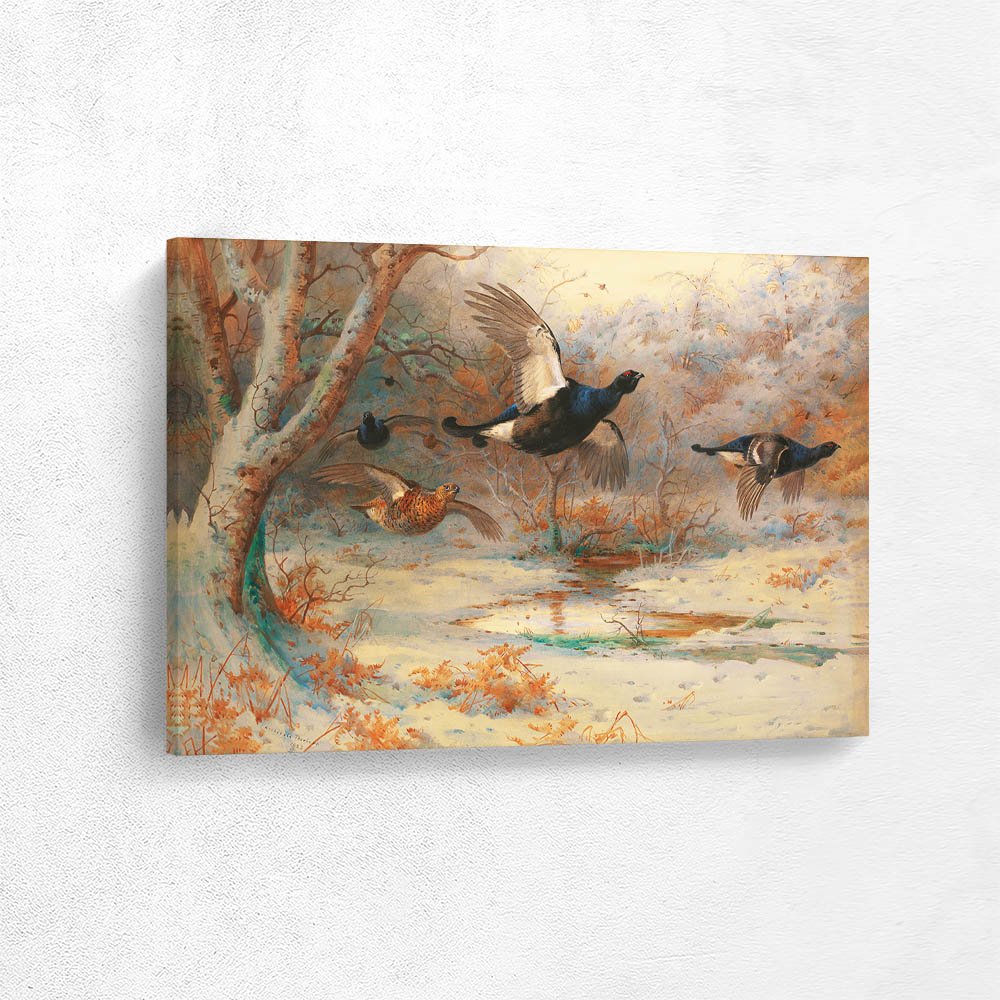 Blackcock and Grouse in Flight