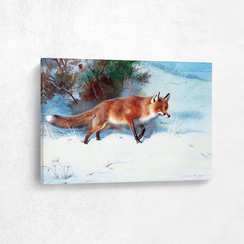 Fox in Winter