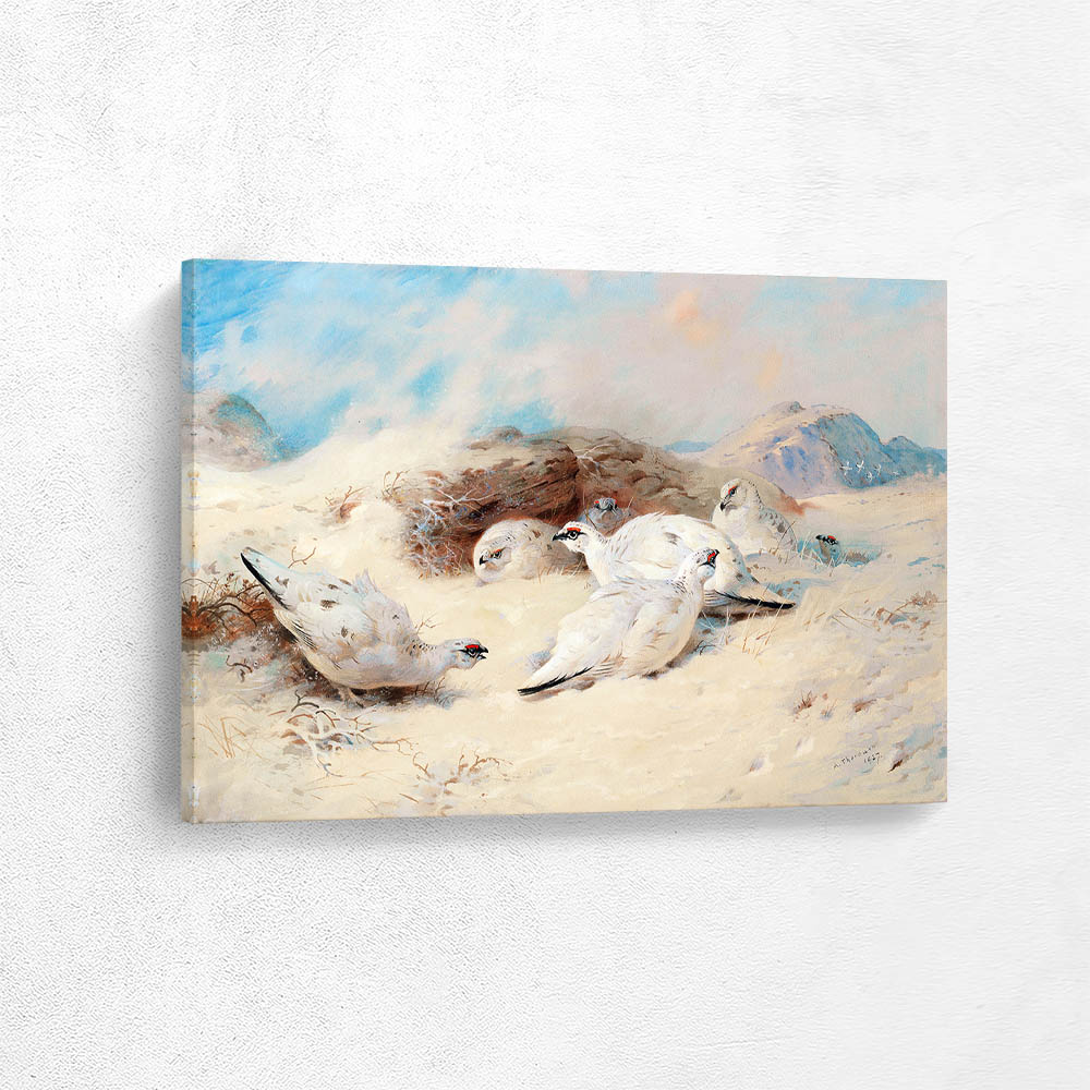 Ptarmigan Seeking Shelter