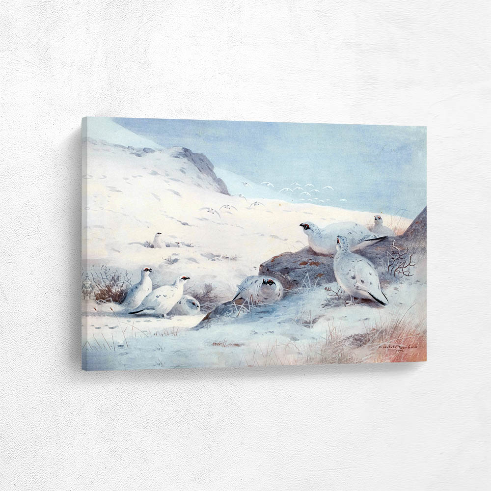 Ptarmigan in the High Country