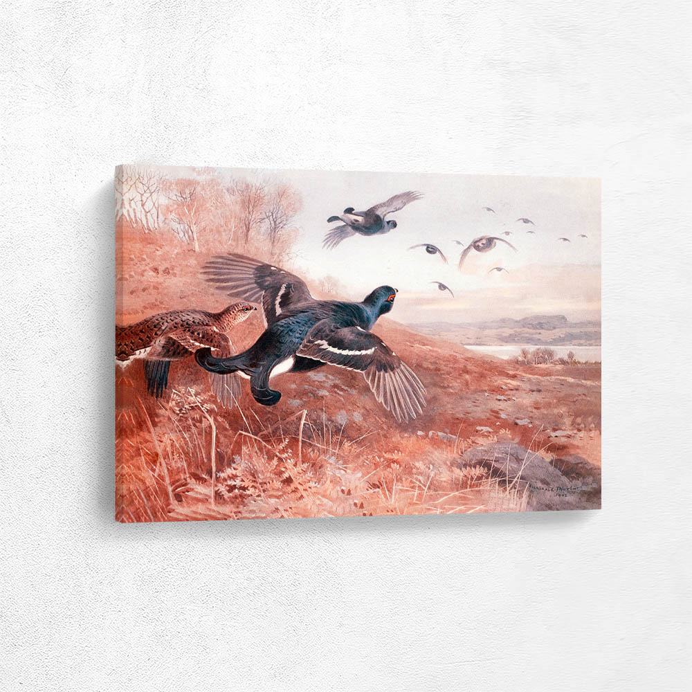 Black Game in Flight