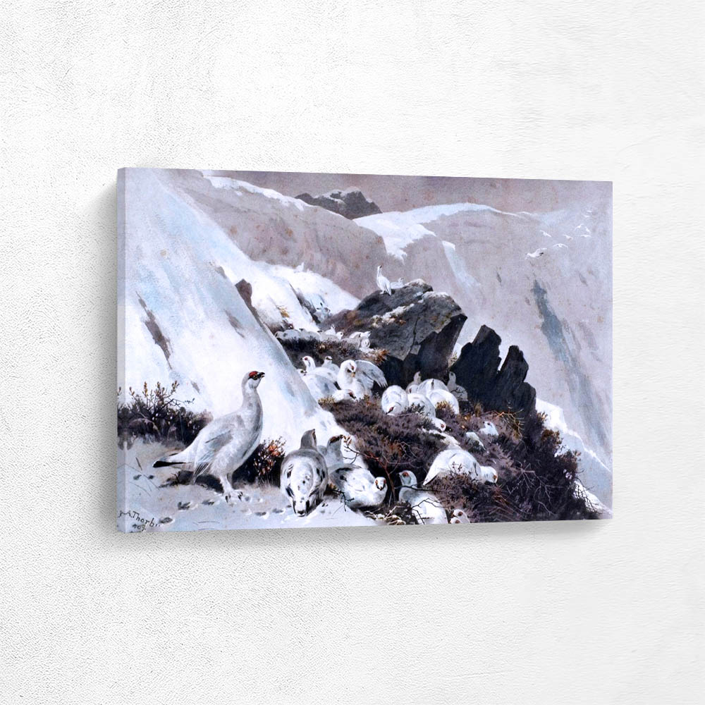 Ptarmigan on Snow Slip