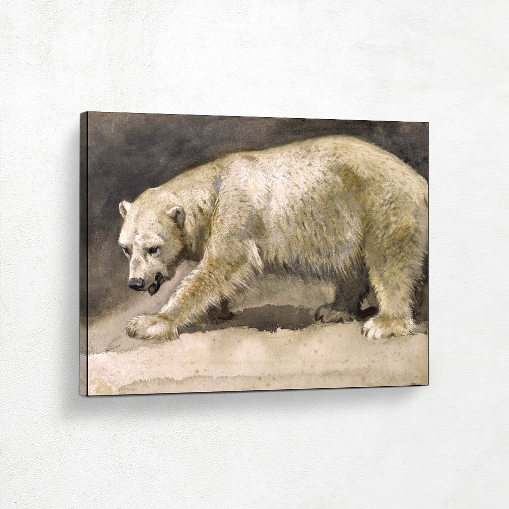 The Polar Bear