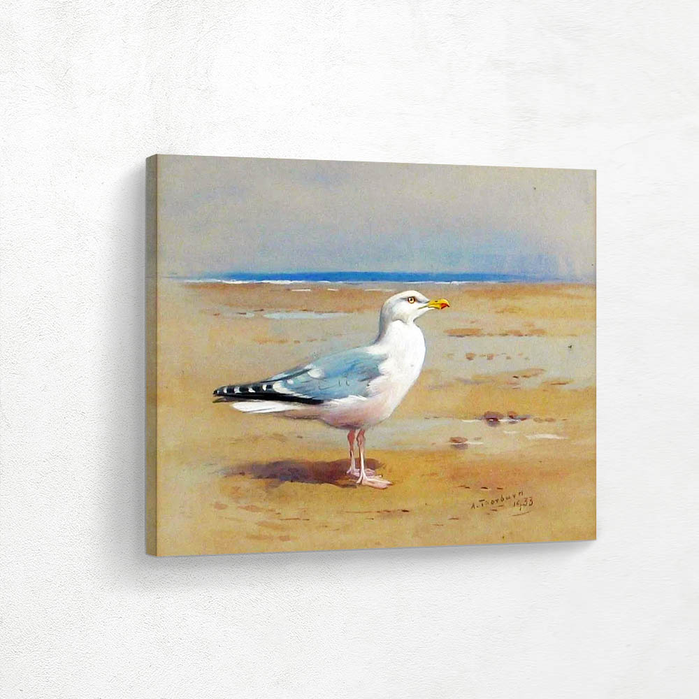 Seagull