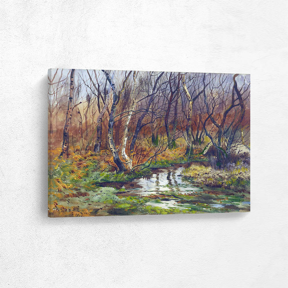 A Burn Through Silver Birches in Autumn