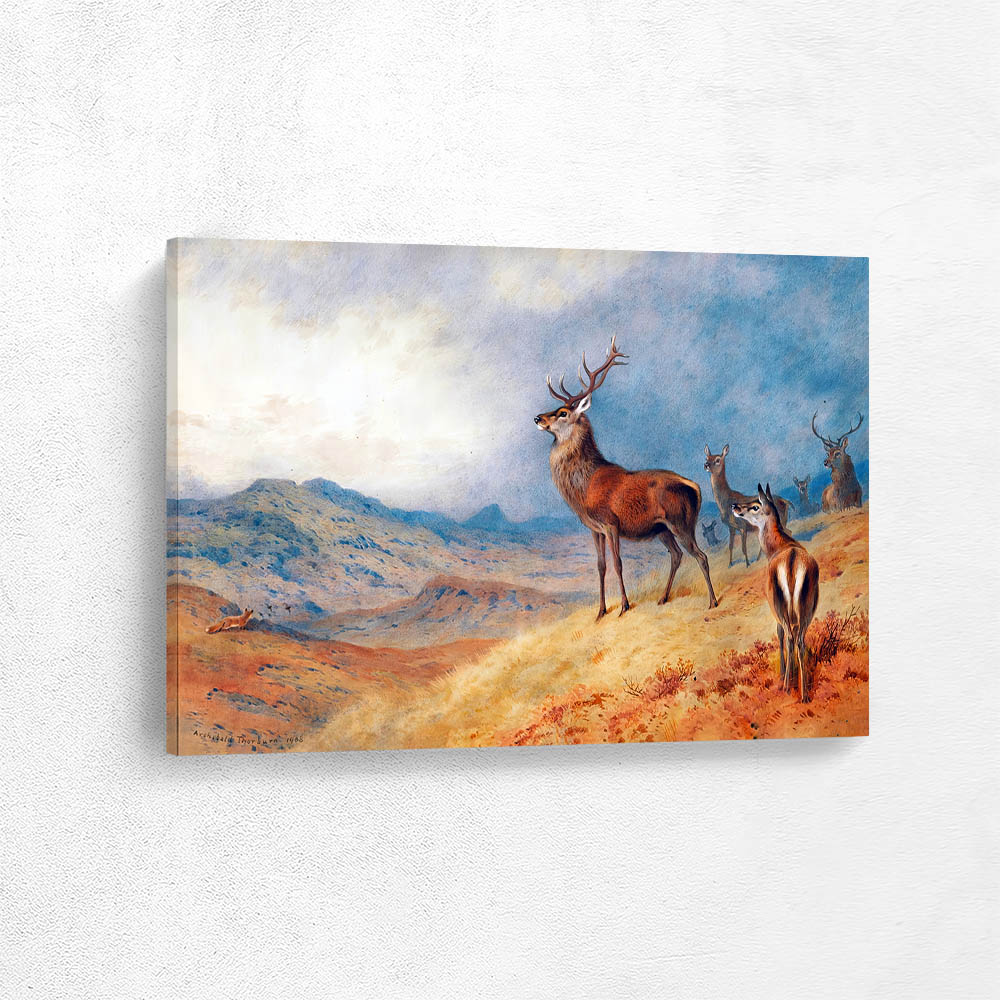 Red Deer in a Highland Landscape