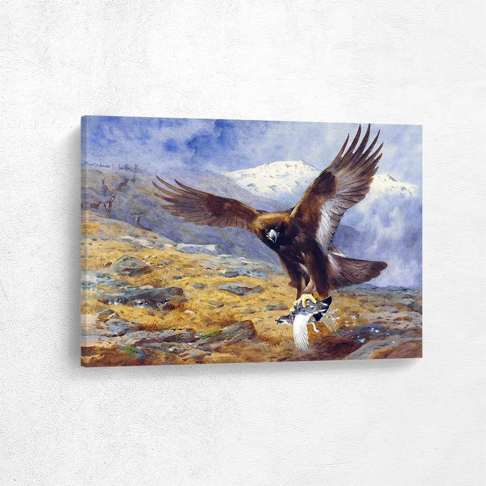 The Eagles Stoop a Golden Eagle Snatching a Ptarmigan