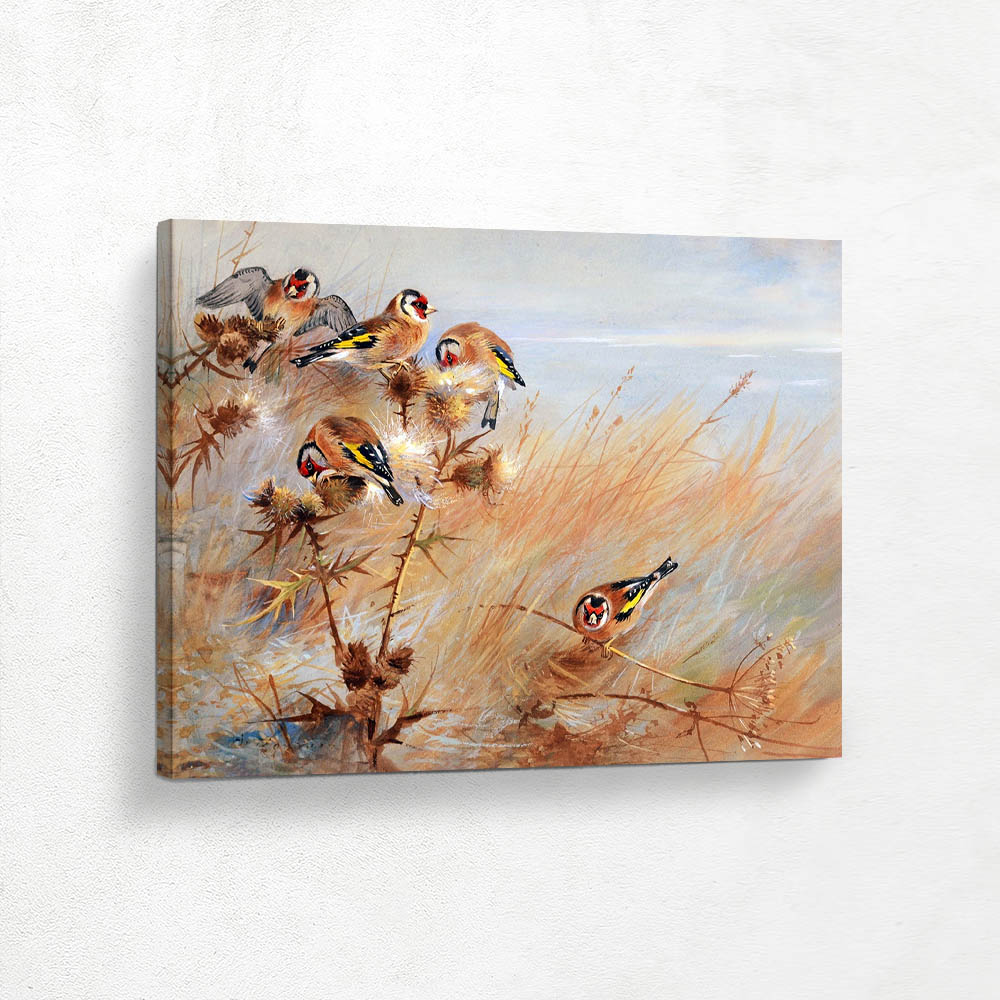 Goldfinches