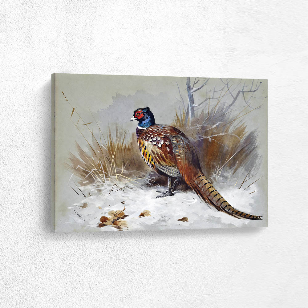 A Pheasant in a Landscape