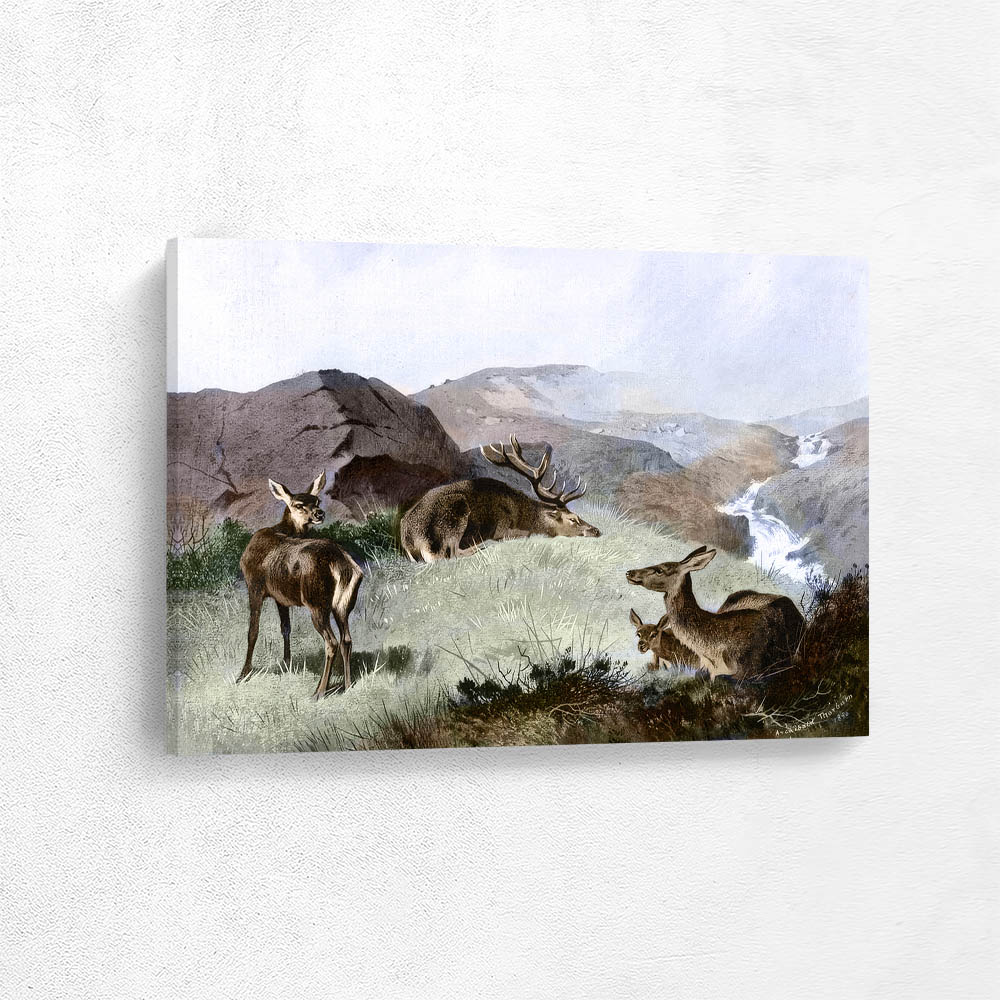 Sporting Sketches Condemned to Death