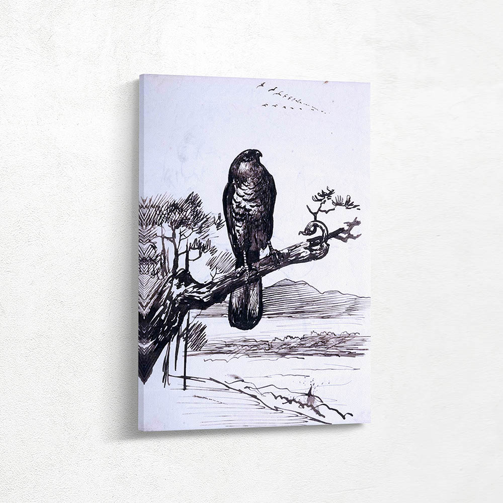 Study of a Sparrowhawk