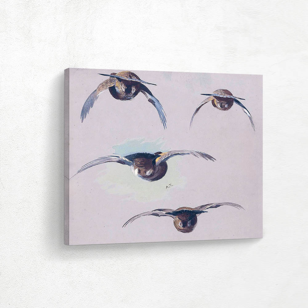 A Sheet of Studies of Grouse in Flight Seen from Behind