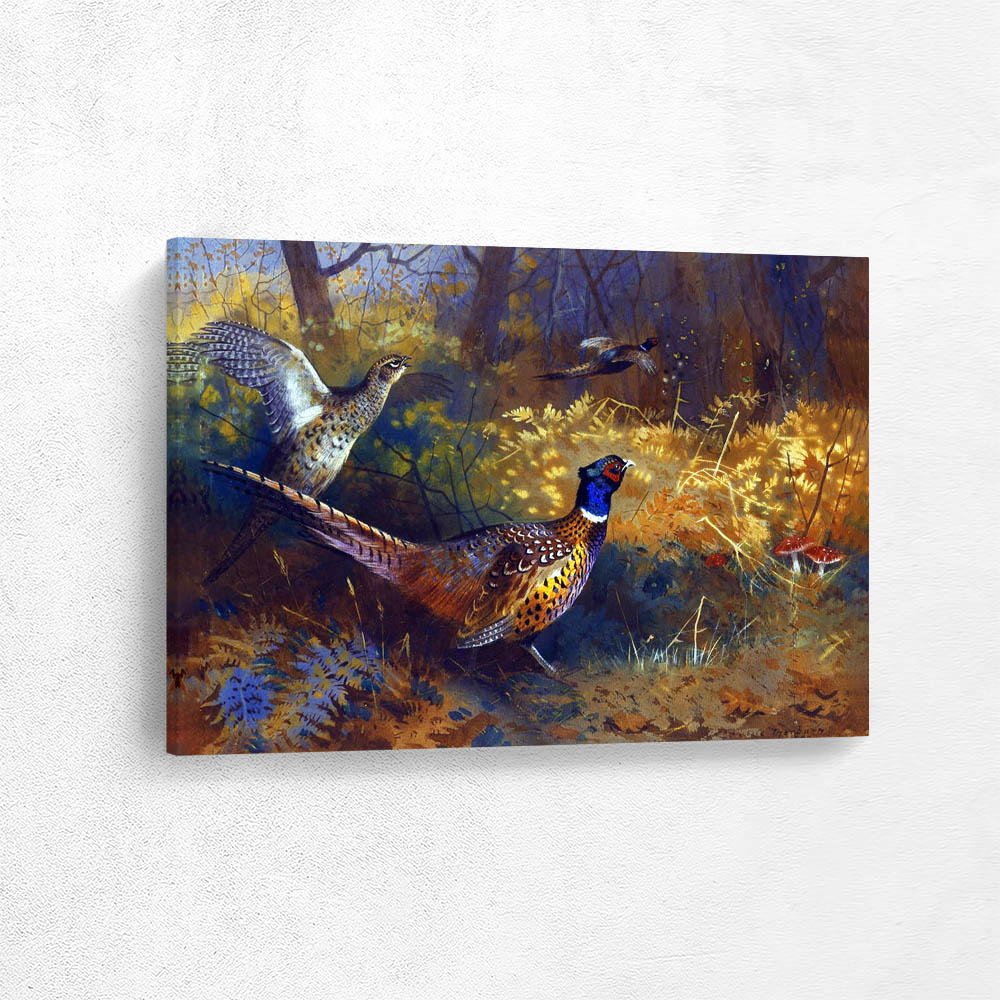 Two Pheasants on the Edge of the Forest