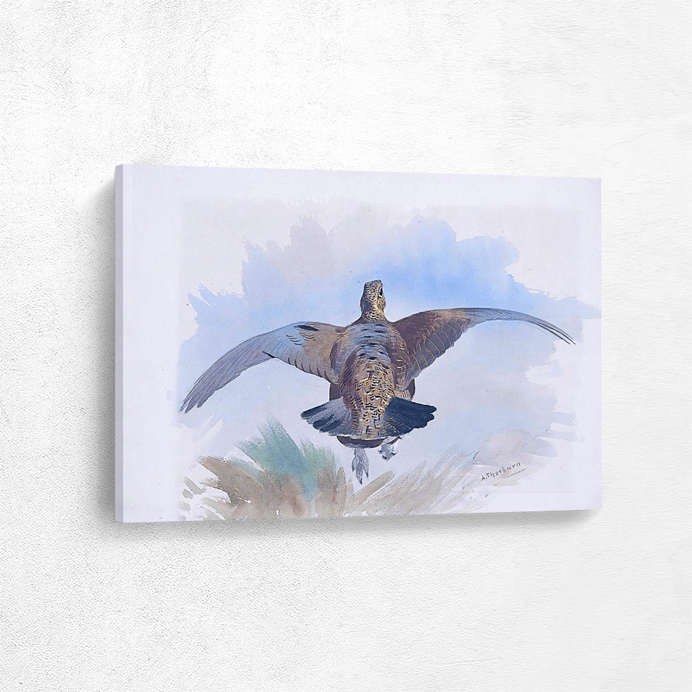 A Red Grouse Taking Off