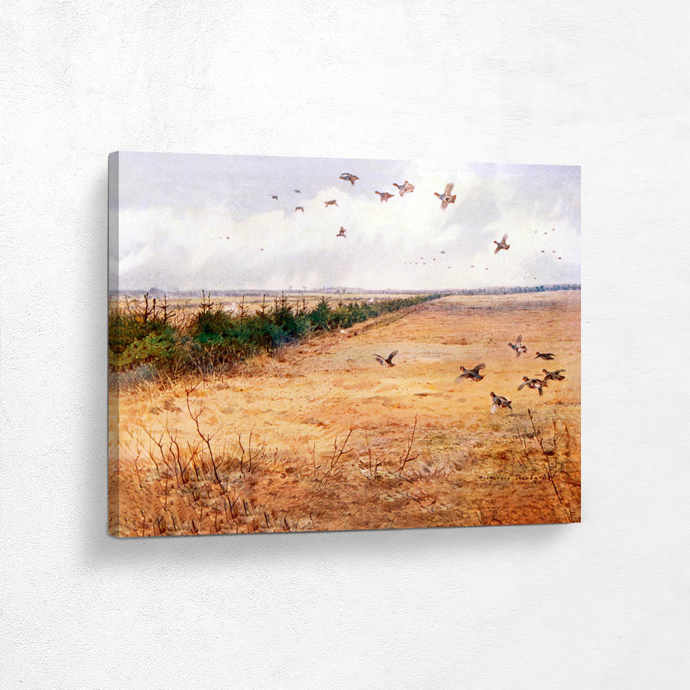 Sandringham Partridges