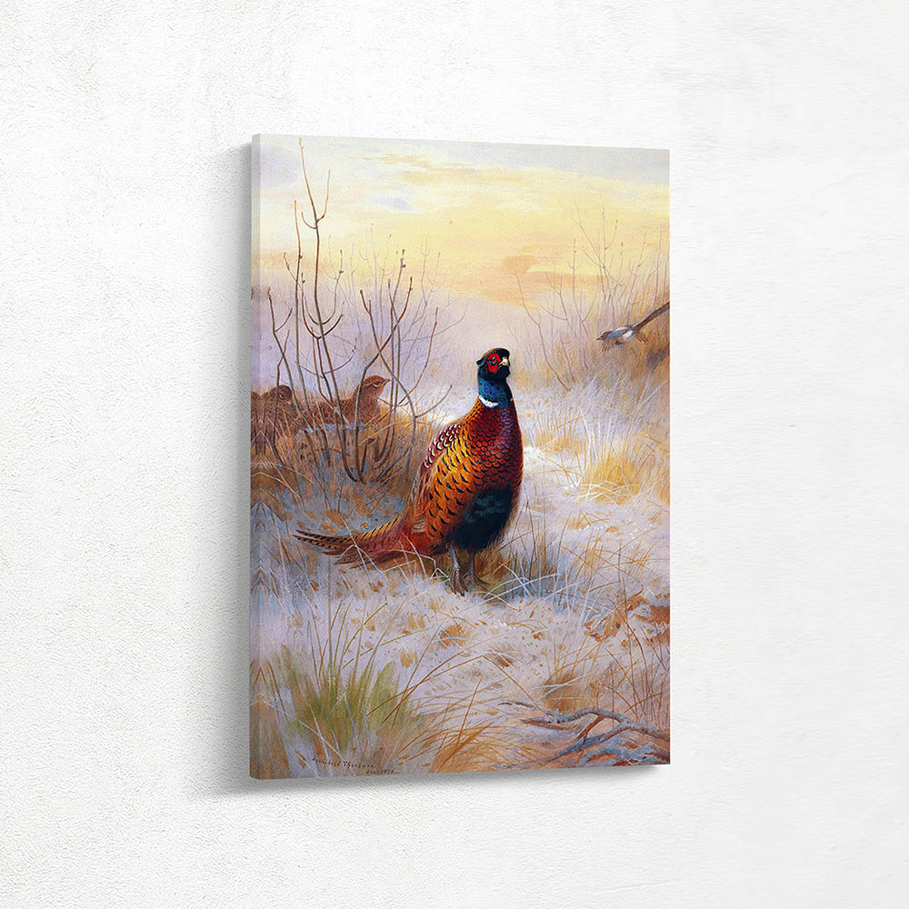 Pheasants