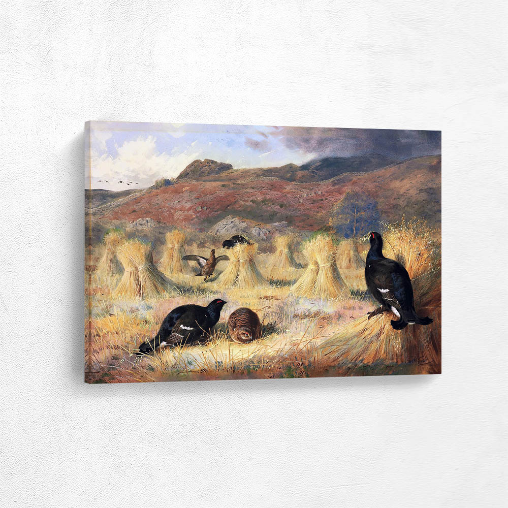 Black Game in the Wheat Stalks