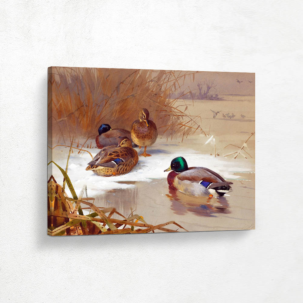 Mallards by a Pond in Winter