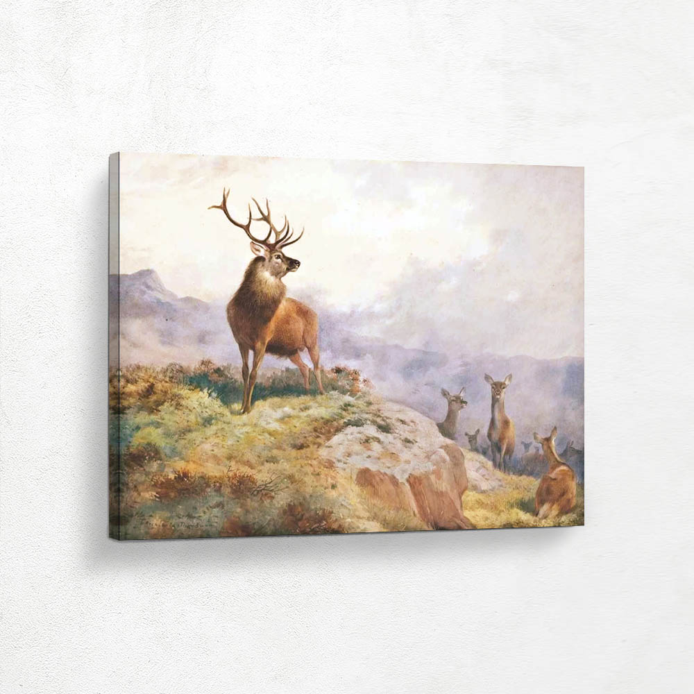Red Deer