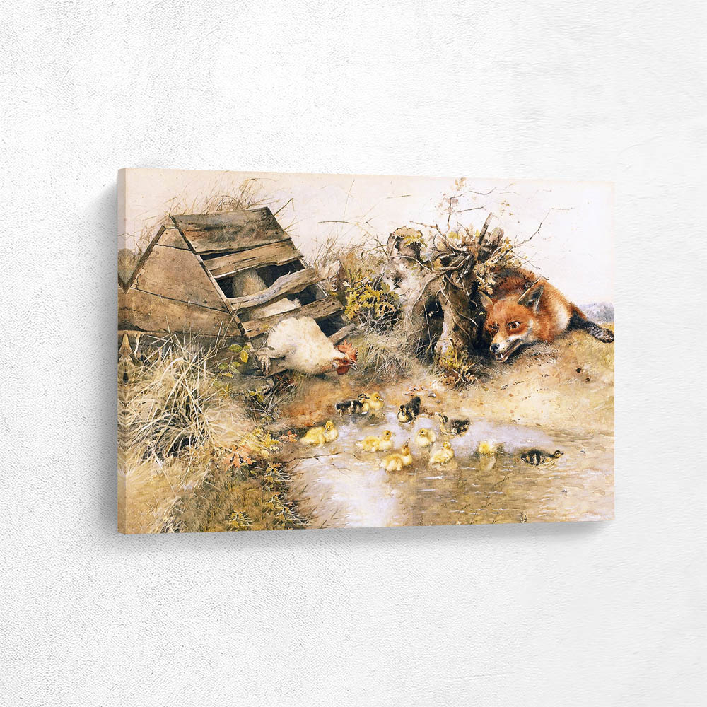 Fox and Chickens