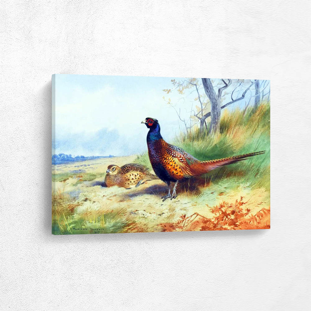 Cock and Hen Pheasant