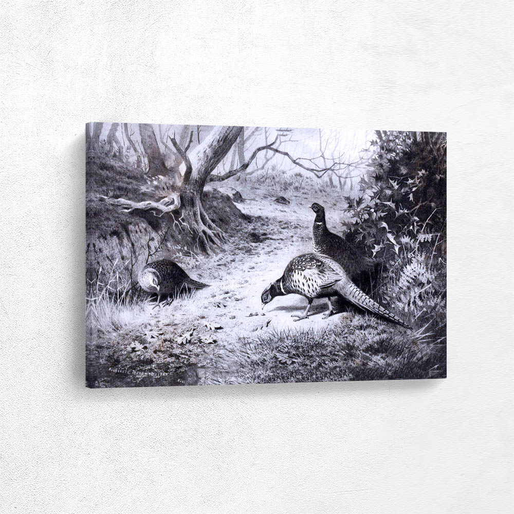 Pheasants Foraging on the Forest Floor