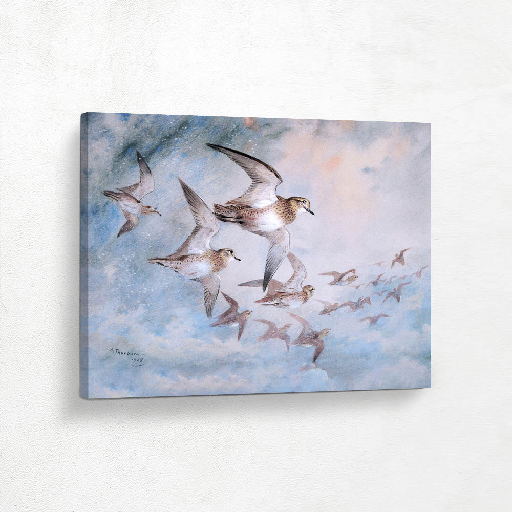 Golden Plovers in Flight