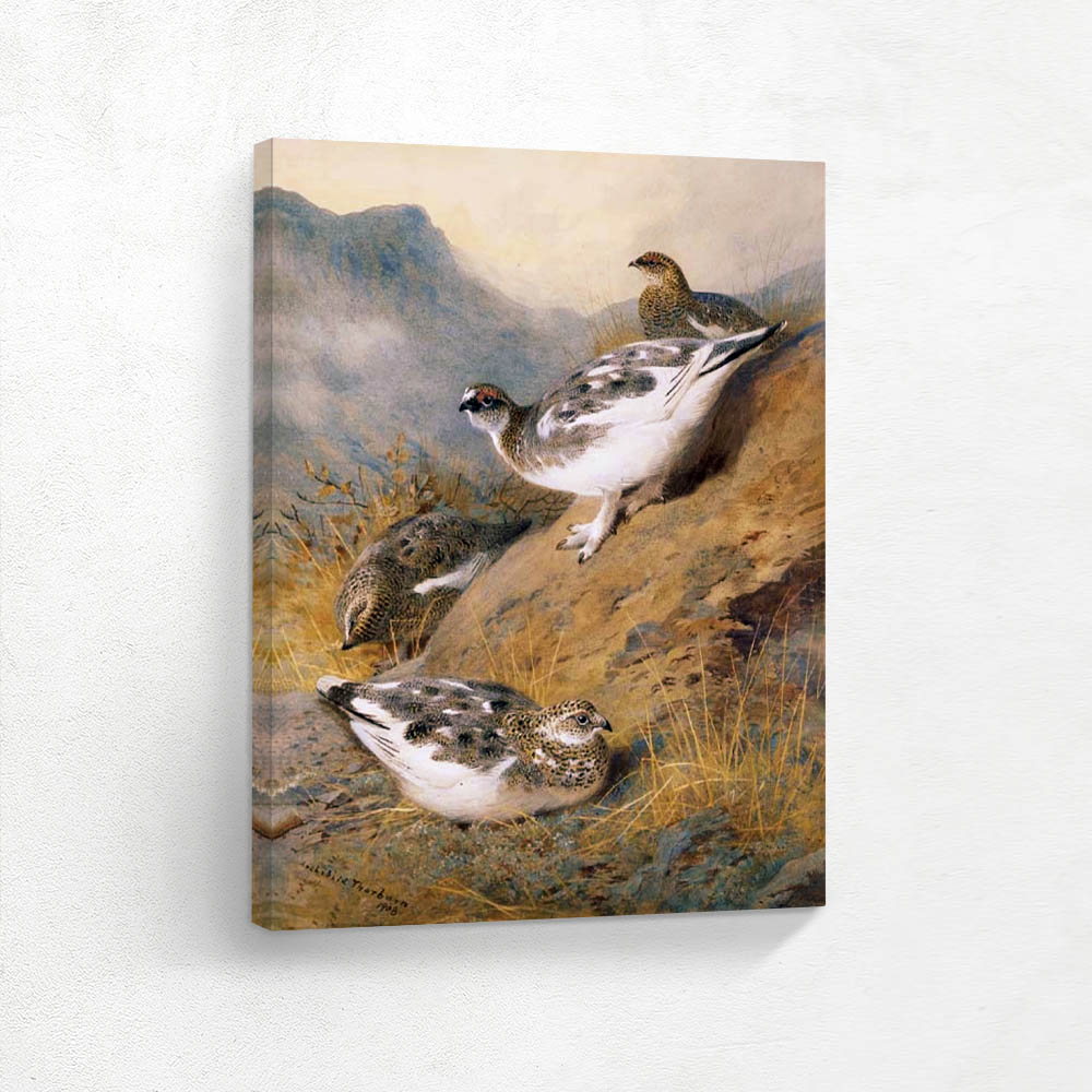 Ptarmigan Adult Male Female and Young Autumn Plumage