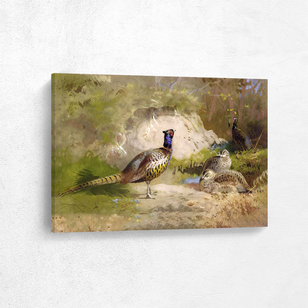 Two Cock and Two Hen Pheasants