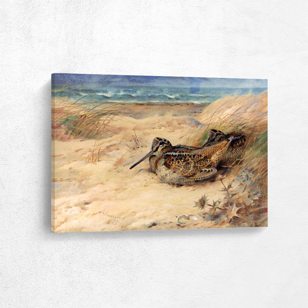 In From the North Sea Woodcock