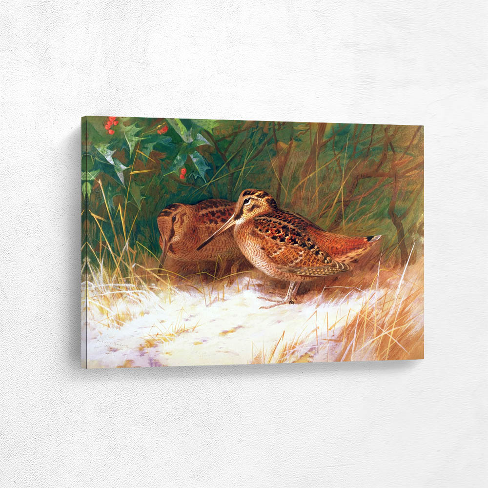 Woodcock in the Undergrowth