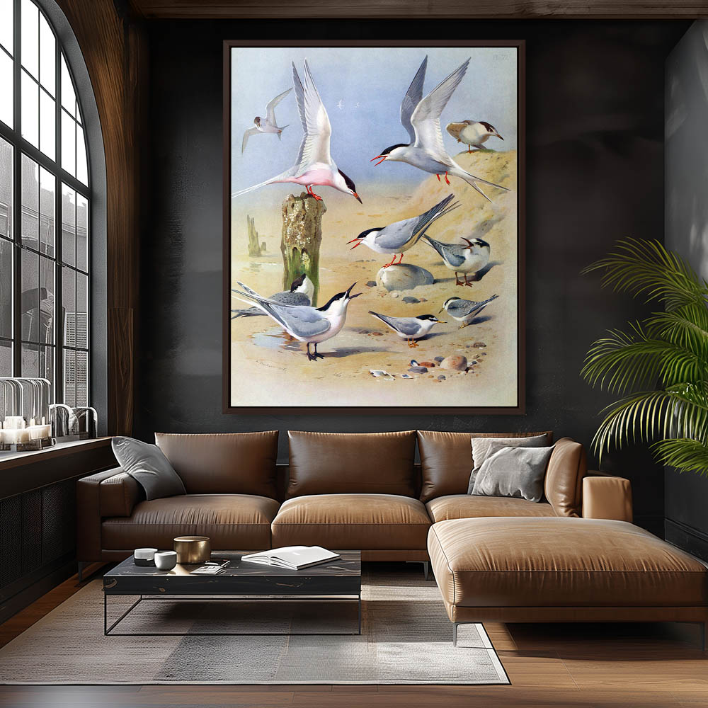 Various Birds - Image 3